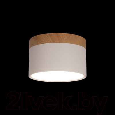 Точечный светильник Loftit Grape 10162 (белый)