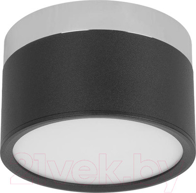 Потолочный светильник Loftit Photon 10179/12 (черный)