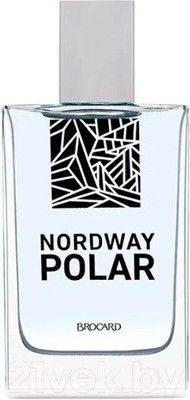Туалетная вода Brocard Nordway Polar (100мл)
