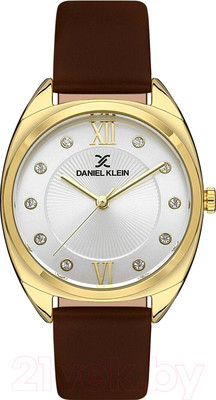 Часы наручные женские Daniel Klein 13425-2