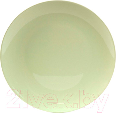 Тарелка столовая обеденная Белбогемия Alfa PT044027F / 101751