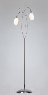 Торшер Евросвет Ginevra 22080/2F (хром)