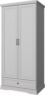 Шкаф Anrex Valencia 2DG1S (серый)