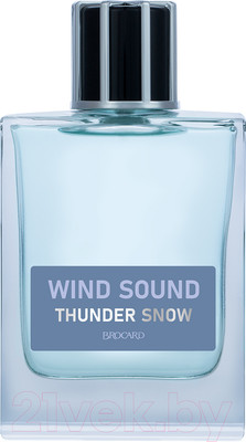 Туалетная вода Brocard Wind Sound Thunder Snow (100мл)
