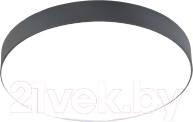 Потолочный светильник Mirastyle SL-41048/400-60W BK