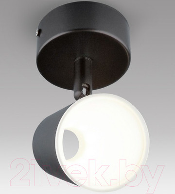 Спот Евросвет Snappy DLR025 (матовый черный)