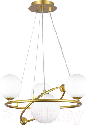 Люстра Evoluce SLE2210-203-04