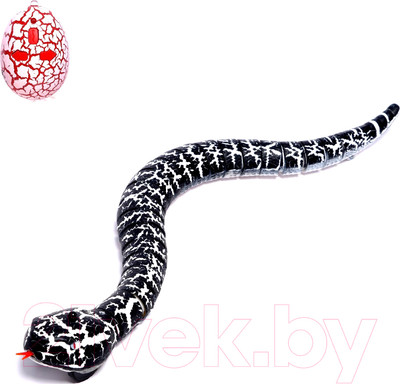 Радиоуправляемая игрушка Sima-Land Змея / 7642479 (черный)