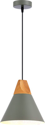 Потолочный светильник Evoluce SLE125113-01