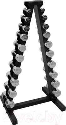 Набор гантелей Bronze Gym BGDBCH01-10