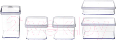 Набор емкостей для хранения Rotho Loft Premium / 1037990000 (5шт)