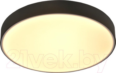 Потолочный светильник Mirastyle SL-41048/600-108W BK