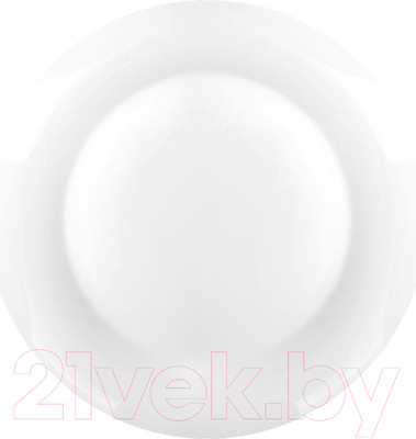Тарелка столовая обеденная Sam&Squito Classic JXA389-06 / фк810
