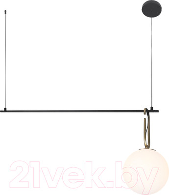 Потолочный светильник Евросвет 70143/1 (черный)