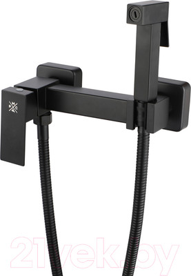 Гигиенический душ со смесителем РМС SUS129BL-6-2