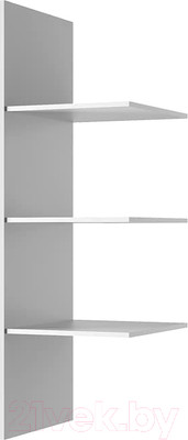 Комплект полок для корпусной мебели Anrex Taurus 2DG H (белый)