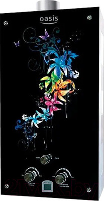 Газовая колонка Oasis Glass 20 RG (N)