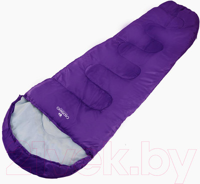 Спальный мешок Calviano Acamper Bergen (пурпурный/серый)