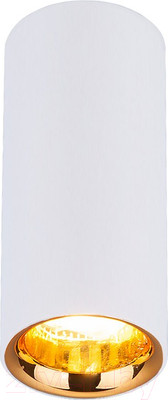 Точечный светильник Elektrostandard DLR030 12W 4200K (белый матовый/золото)