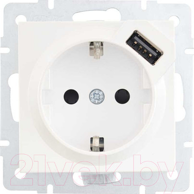 Розетка Lezard Vesna 742-3088-181