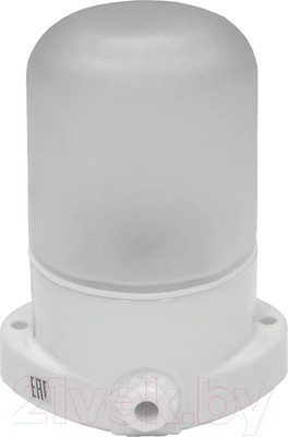 Светильник ЖКХ Везувий Прямой / 400