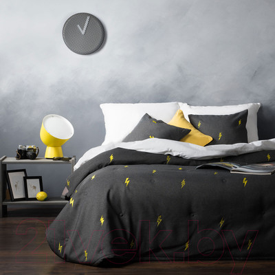 Набор текстиля для спальни Pasionaria Флэш 160x220 с наволочками (мокрый асфальт)