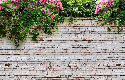 Фотофасад Arthata FotoSetka-100-28 (100x156)