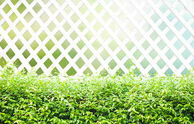 Фотофасад Arthata FotoSetka-100-80 (100x156)