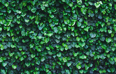 Фотофасад Arthata FotoSetka-100-15 (100x156)