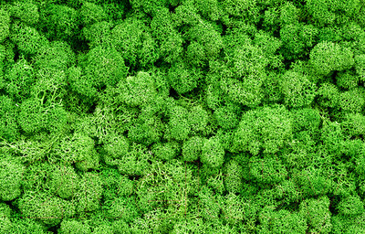 Фотофасад Arthata FotoSetka-100-16 (100x156)