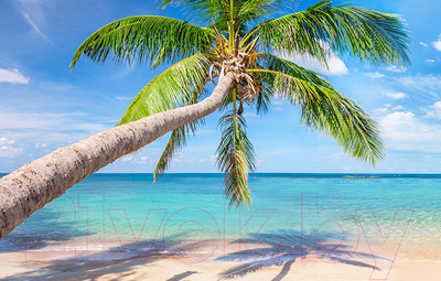 Фотофасад Arthata FotoSetka-100-40 (100x156)