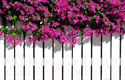 Фотофасад Arthata FotoSetka-100-44 (100x156)