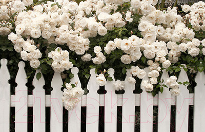 Фотофасад Arthata FotoSetka-100-46 (100x156)