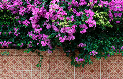 Фотофасад Arthata FotoSetka-100-48 (100x156)