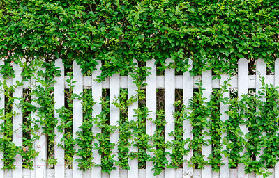 Фотофасад Arthata FotoSetka-100-53 (100x156)