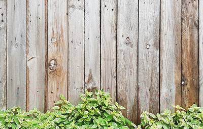 Фотофасад Arthata FotoSetka-100-55 (100x156)