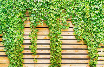 Фотофасад Arthata FotoSetka-100-61 (100x156)