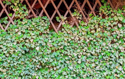 Фотофасад Arthata FotoSetka-100-63 (100x156)