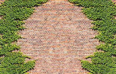 Фотофасад Arthata FotoSetka-100-23 (100x156)