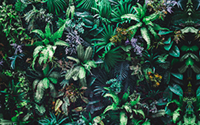 Фотофасад Arthata Листья / FotoSetka-250-11 (250x156)