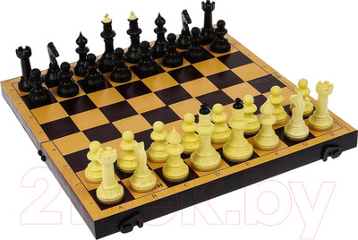 Набор настольных игр Sima-Land 2 в 1 Семейная шахматы, шашки, доска пластик / 3091529