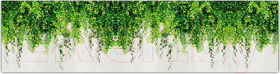 Фотофасад Arthata Плющ / FotoSetka-600-30 (600x156)