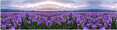 Фотофасад Arthata Лаванда / FotoSetka-600-38 (600x156)