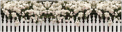 Фотофасад Arthata Розы / FotoSetka-600-46 (600x156)