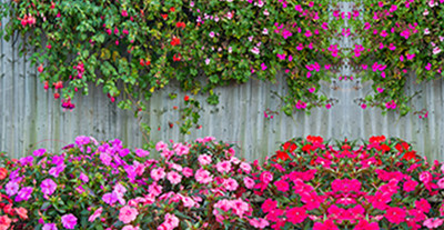 Фотофасад Arthata Живой забор / FotoSetka-300-42 (300x156)