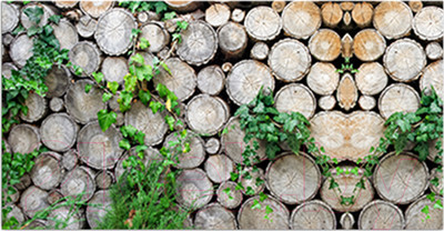 Фотофасад Arthata FotoSetka-300-62 (300x156)