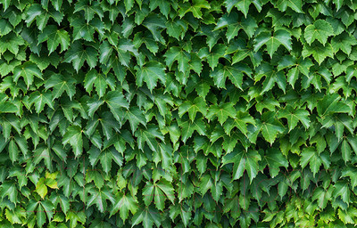 Фотофасад Arthata FotoSetka-100-12 (100x156)