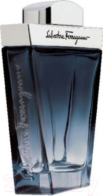 Туалетная вода Salvatore Ferragamo Subtile Pour Homme (100мл)