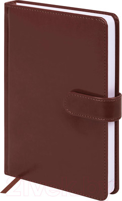 Ежедневник Galant Ritter / 114466 (160л, коричневый)