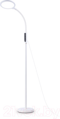 Торшер Ambrella Traditional / TR97701